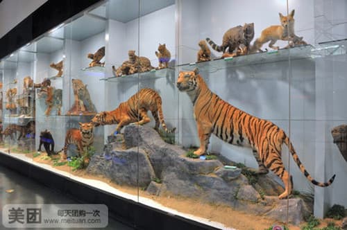 国家动物博物馆