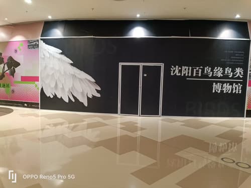 百鸟缘·鸟类博物馆(沈阳馆)