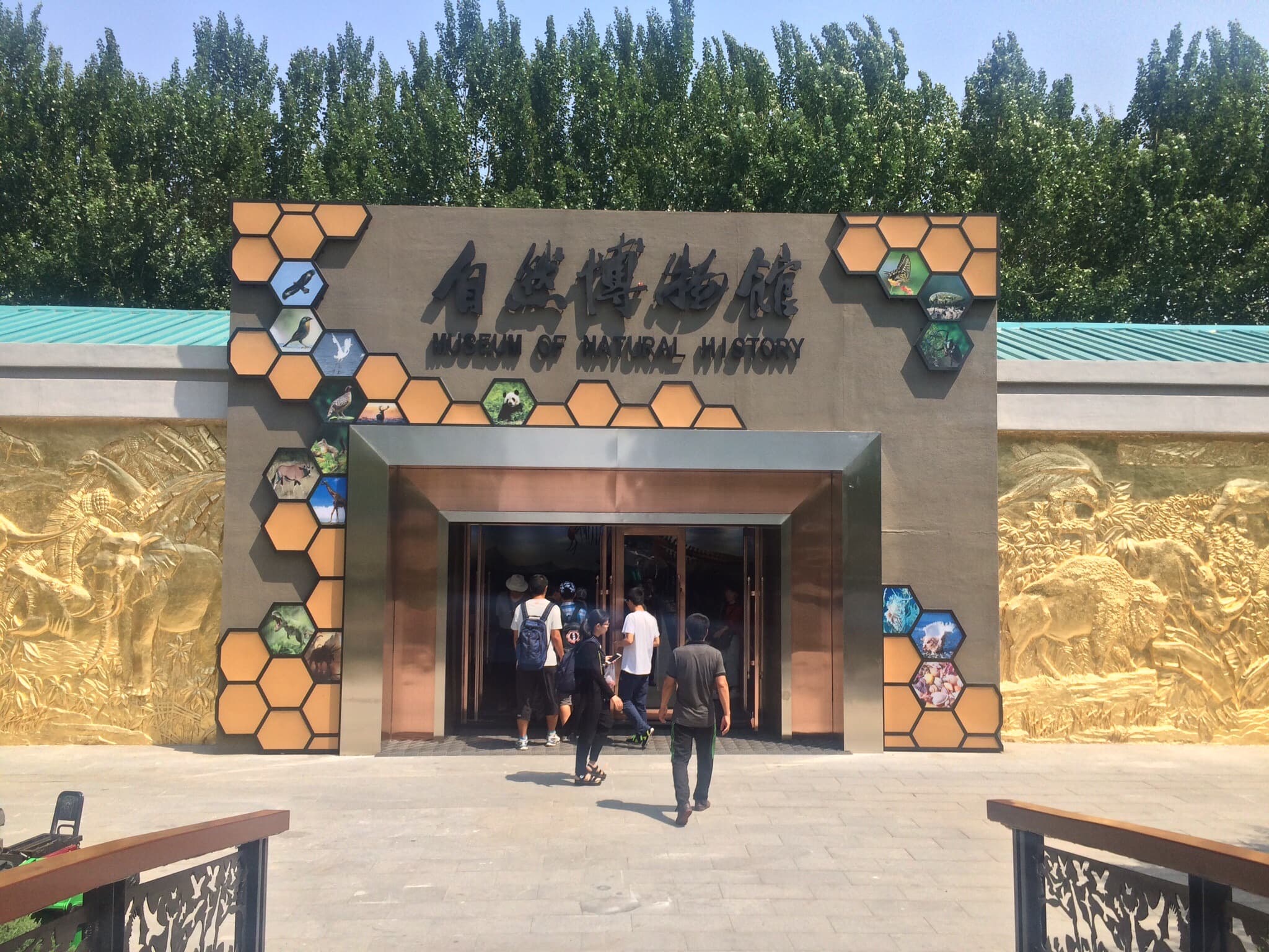 沈阳大学南校区自然博物馆